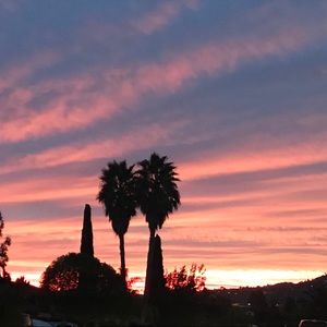 Moving sale!!! Any item $6 with $5.95 shipping. Bundle and make an offer.